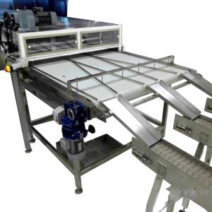 Massentrocknende Nudel-Maschine, die Förderer verteilt